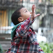 Merricats Castle School