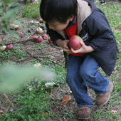 Merricats Castle School