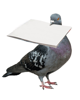 pigeon post